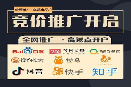 百度竞价账户托管的技巧与策略：从入门到精通的案例解析